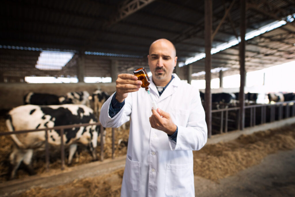 Essential Practices for Maintaining Well-Being in Dairy